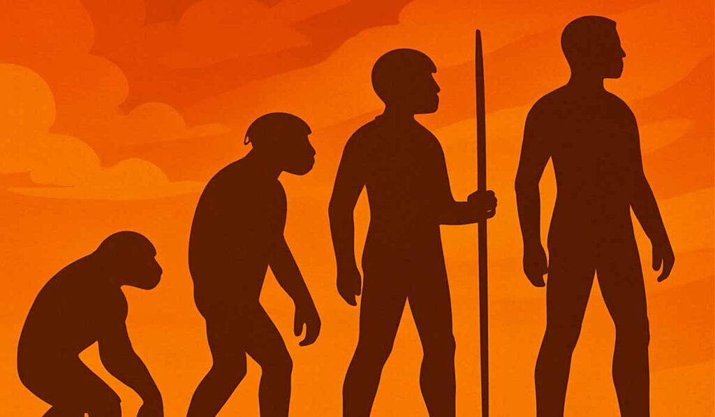 Silhouetted illustration showing the stages of human evolution, progressing from an ape-like ancestor to an upright modern human, against an orange sunset background.