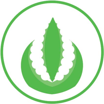 Grünes, stilisiertes Logo mit Blatt- und Pflanzenform in einem Kreis