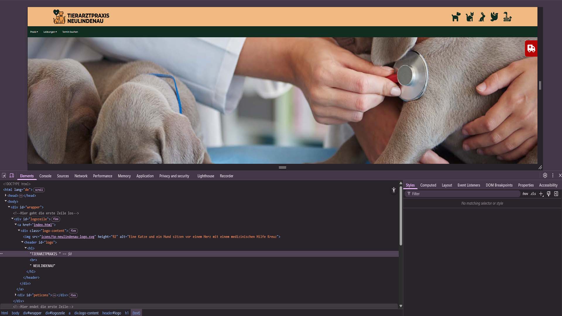 Screenshot einer responsiven Tierarztpraxis-Website (HTML/CSS) mit großem Hero-Bild und geöffneten Chrome DevTools.