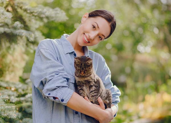 Dr. Schnurrig wie sie Ihren Kater hält.